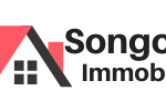 SONGOLOC IMMOBILIER